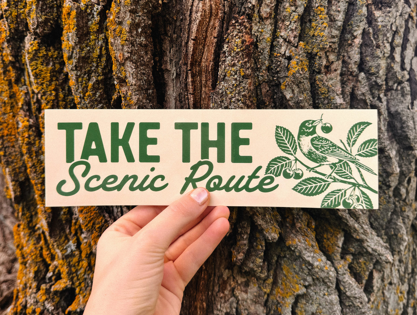 Take the Scenic Route Bumper Sticker